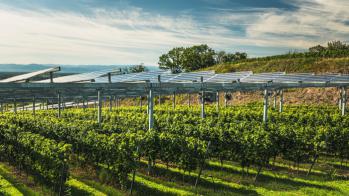 Αγροτικά Φ/Β: Ανοίγει 4 Μαρτίου η πλατφόρμα ΔΕΔΔΗΕ Αγροτικά Φ/Β: Ανοίγει 4 Μαρτίου η πλατφόρμα ΔΕΔΔΗΕ