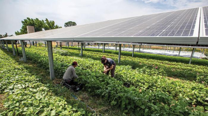 Αγροτικά Φωτοβολταϊκά: Οδηγός για εγκατάσταση, επιδοτήσεις και οικονομικό όφελος Αγροτικά Φωτοβολταϊκά: Οδηγός για εγκατάσταση, επιδοτήσεις και οικονομικό όφελος