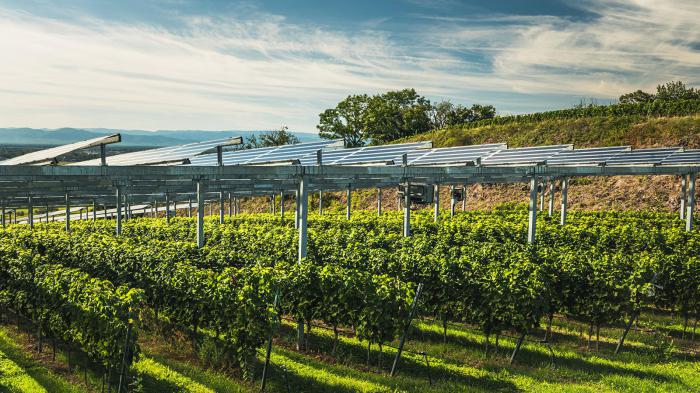 Αγροτικά Φ/Β: Ανοίγει 4 Μαρτίου η πλατφόρμα ΔΕΔΔΗΕ Αγροτικά Φ/Β: Ανοίγει 4 Μαρτίου η πλατφόρμα ΔΕΔΔΗΕ