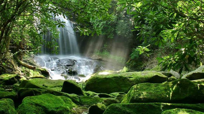 Περιβαλλοντικές Μελέτες για το Δίκτυο Natura